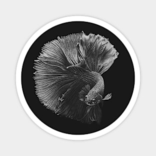 Betta Fish Magnet